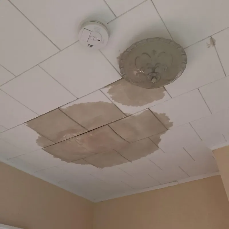 Ceiling Water Damage Repair in Cheshire, CT