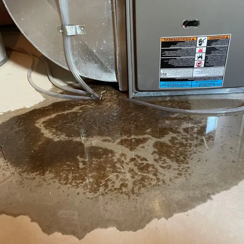 Pipe Burst and Leak Restoration in Cheshire, CT